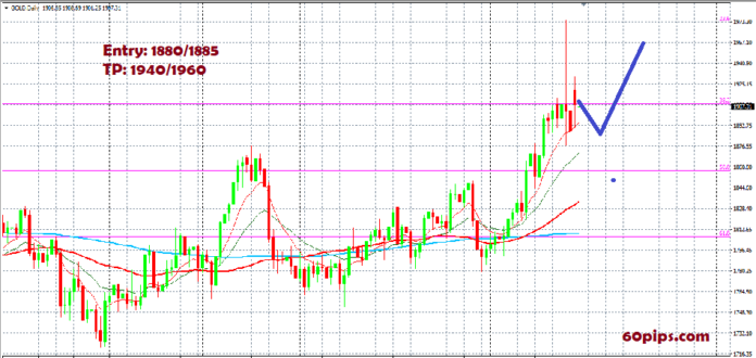 60pips.com