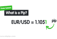 60pips.com
