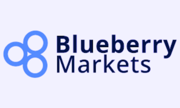 Blueberry Markets