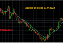 Xauusd Trading Analysis on dated 01-9-2023